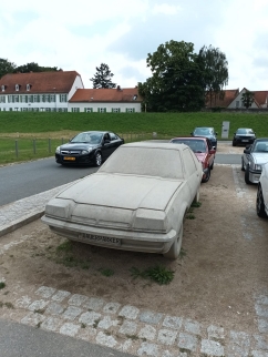 Ascona Treffen