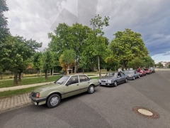 Ascona Treffen
